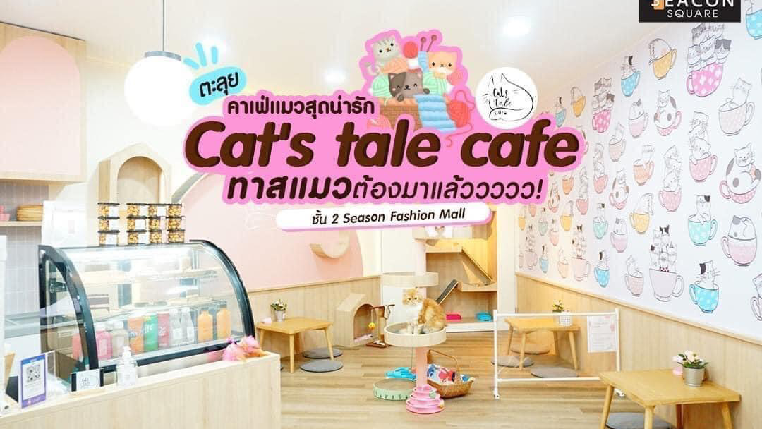 Cats Tales Cat Cafe Bangkok คาเฟ่แมว
