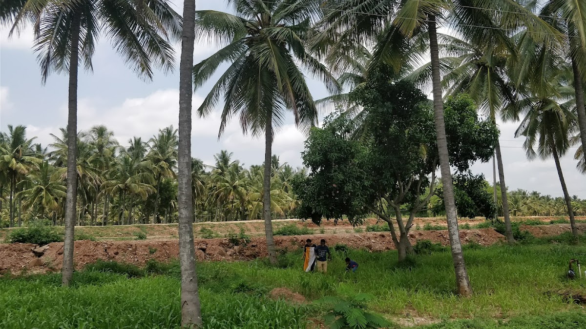 Malnad Cafe - 2