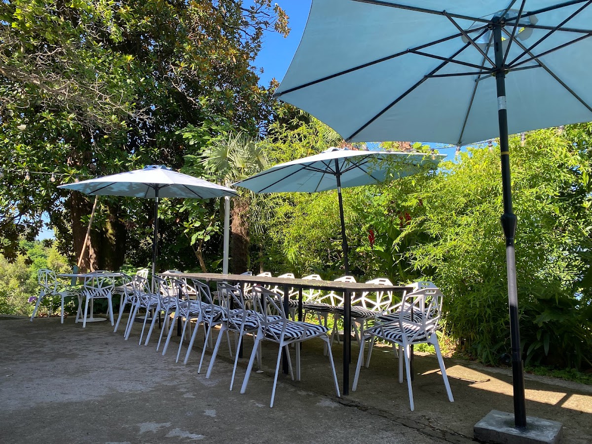 Cafe Bamboo/კაფე ბამბუკები