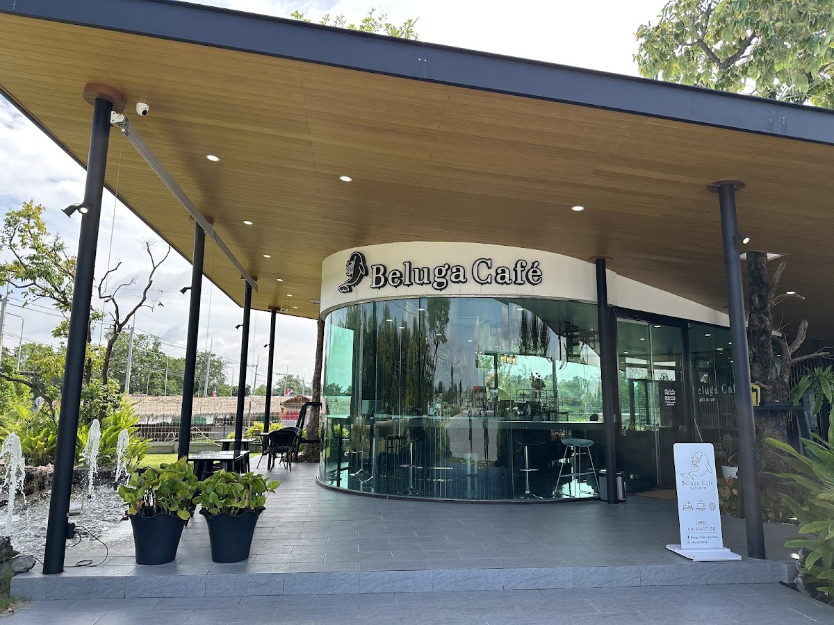 Beluga cafe’ udonthani