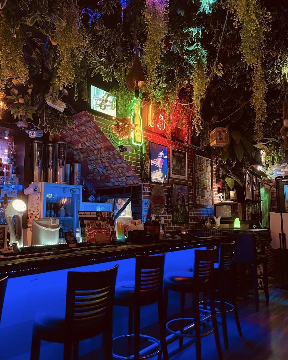 Forest Darts Cafe - 4