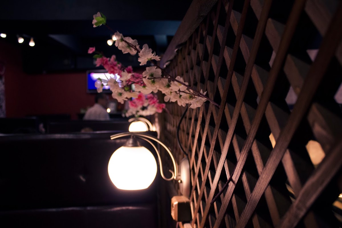 Cafe 'Bystroeshka' - 4