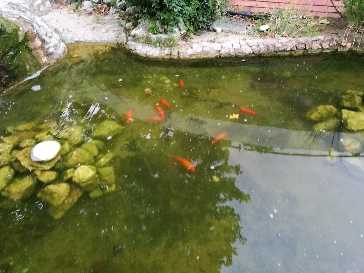 Teana Lounge Café - 6