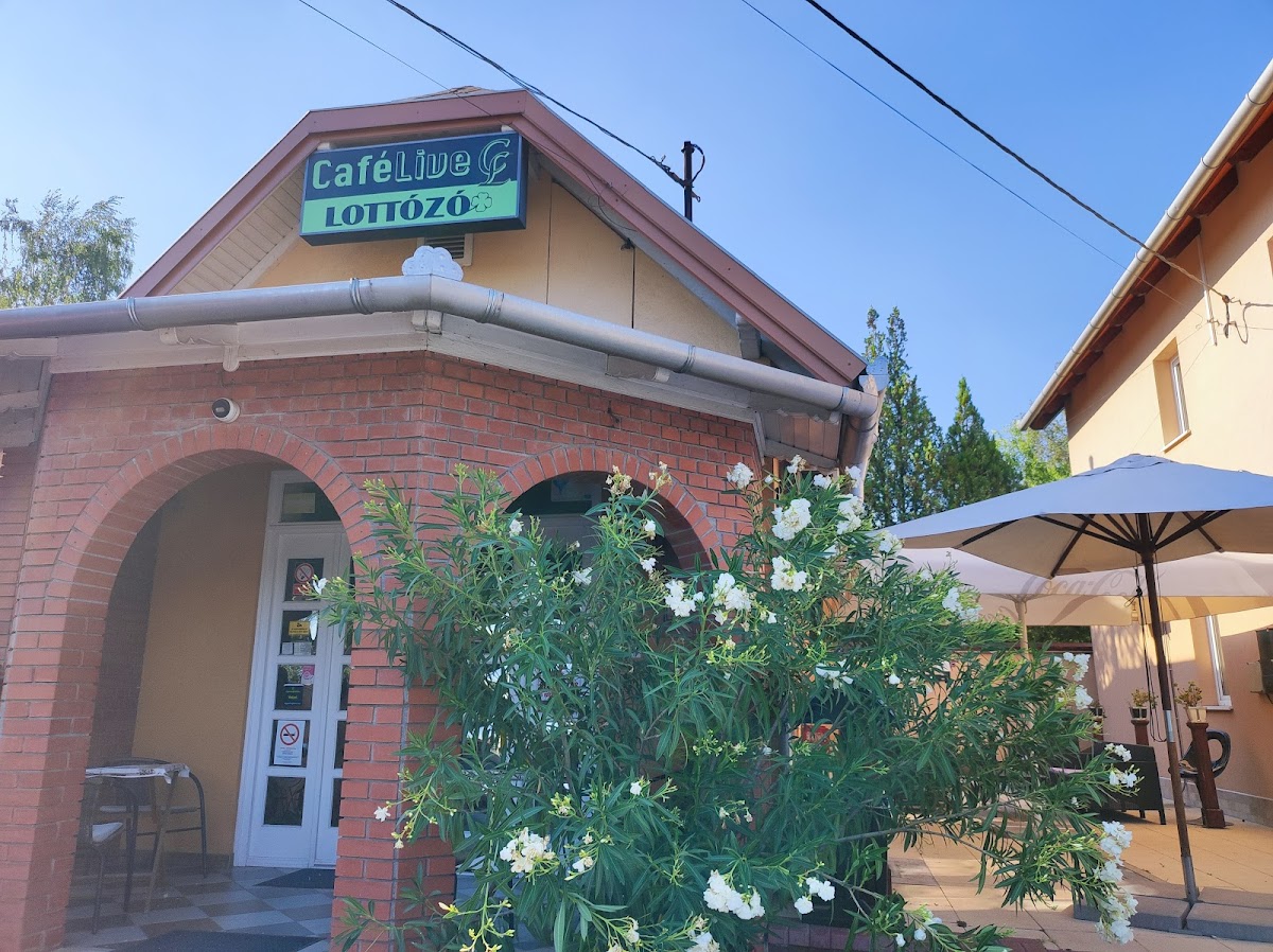 Café Live Kávézó , Lottózó