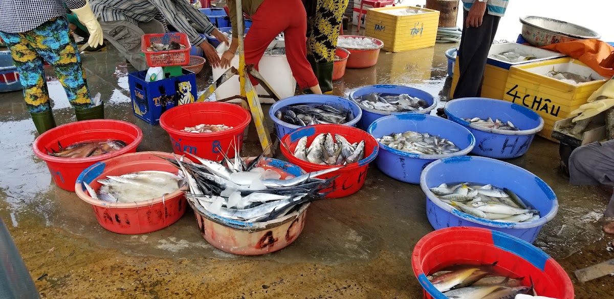 Cafe võng Hà Thanh