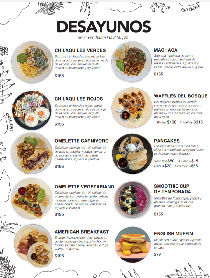 Rooibos tea shop & coffee - 1