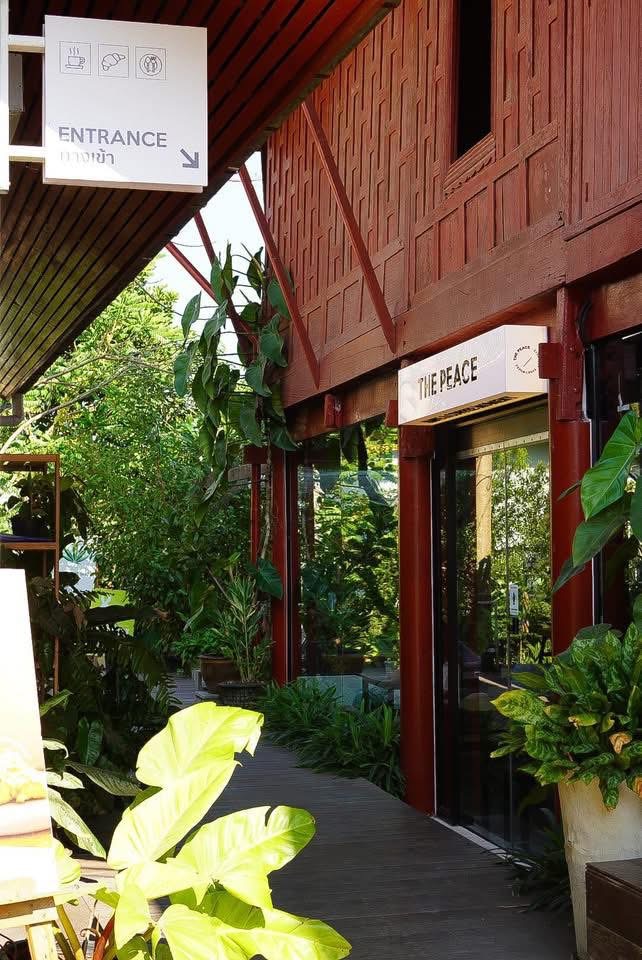 The Peace Coffee - Damnoensaduak