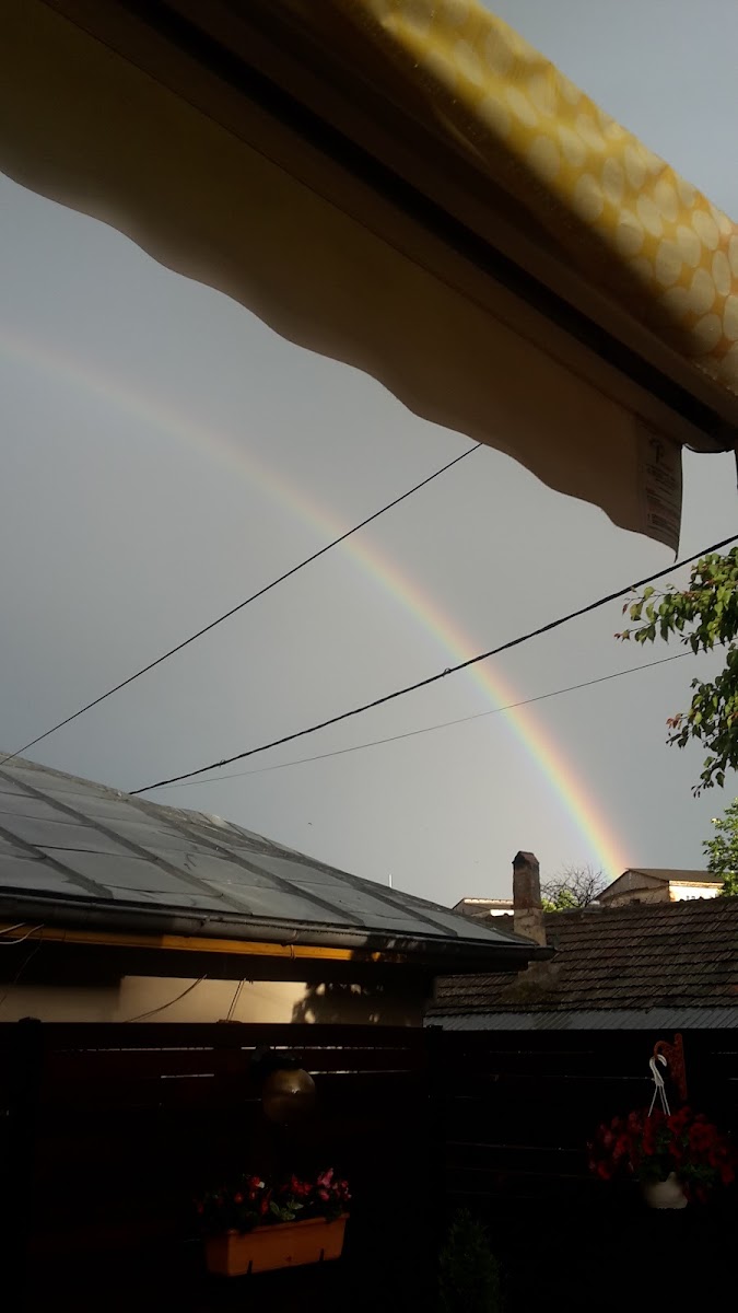 SC Amalia Blazon SRL - 2