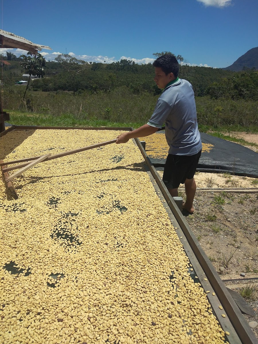 Cooperativa de Servicios Múltiples Frutos de Selva - 3