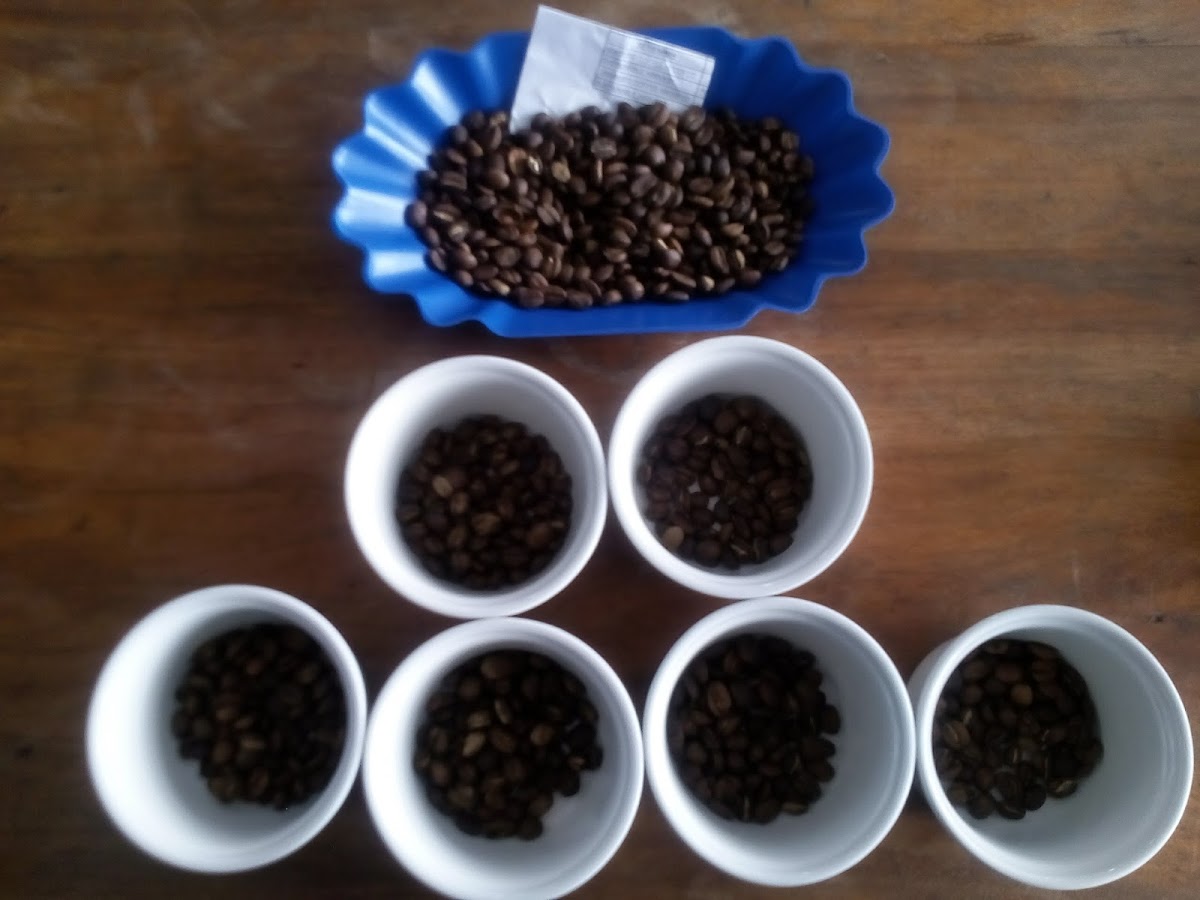 Cooperativa de Servicios Múltiples Frutos de Selva - 6