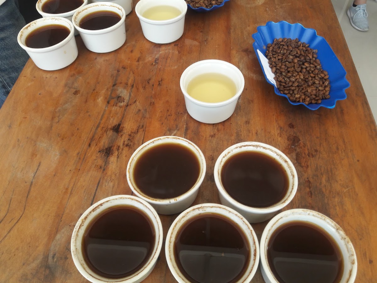 Cooperativa de Servicios Múltiples Frutos de Selva - 8