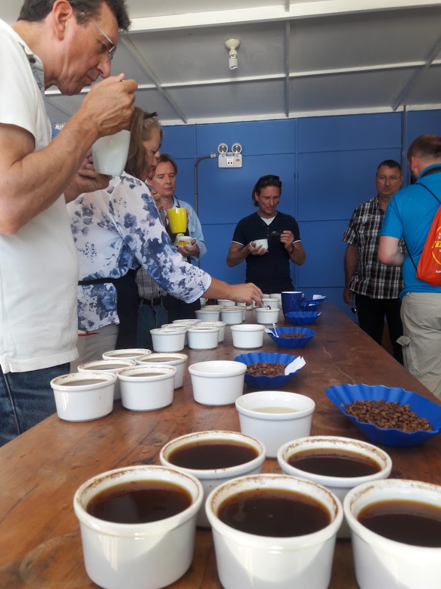 Cooperativa de Servicios Múltiples Frutos de Selva - 9