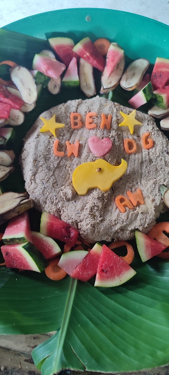 Elephant Cafe Samui - 10