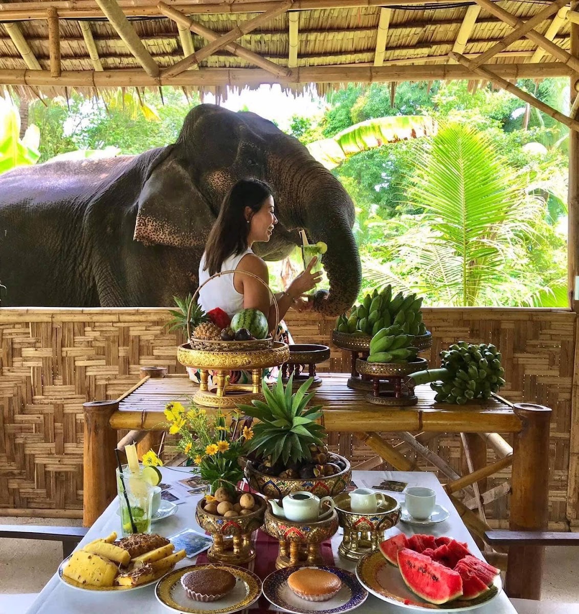 Elephant Cafe Samui - 3