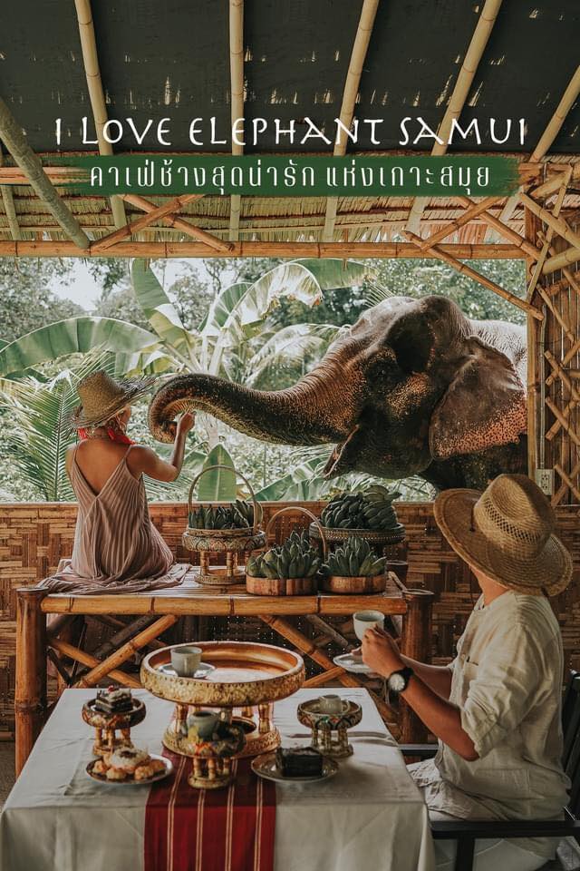 Elephant Cafe Samui - 4