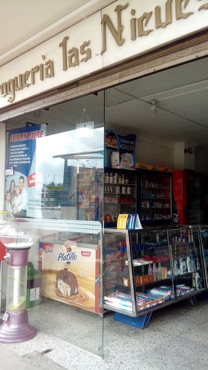 La pinacoteca las nieves