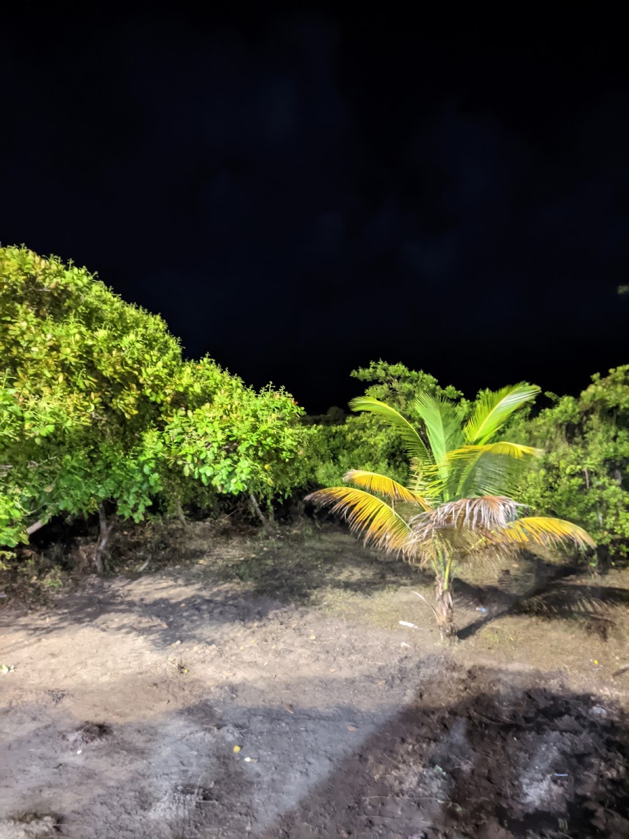 Delícias Da Orla - 4