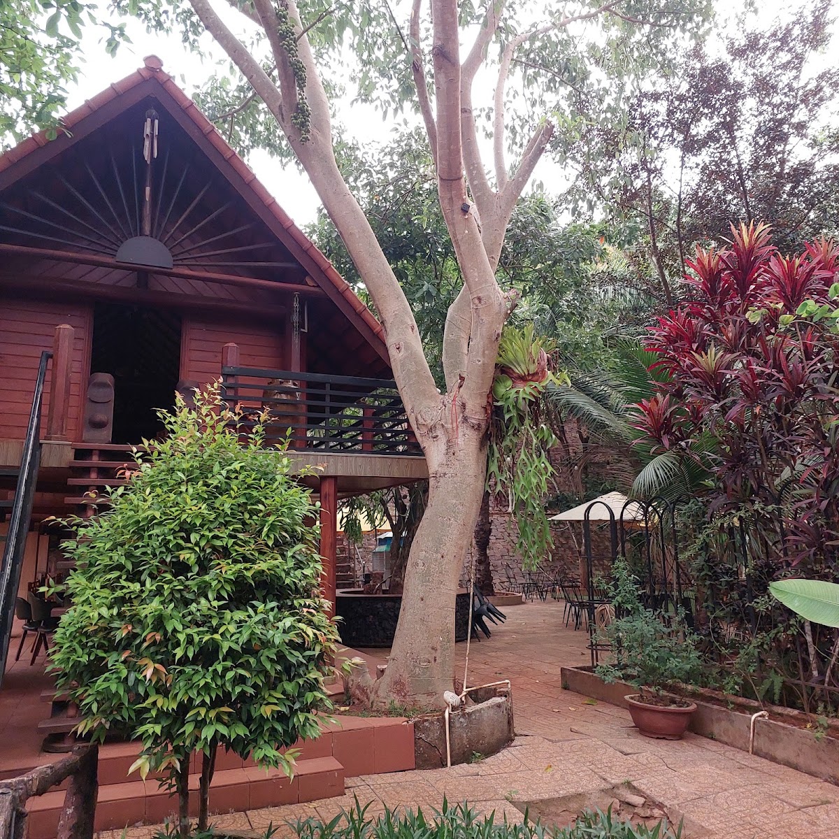 Rose Garden Coffee - 4