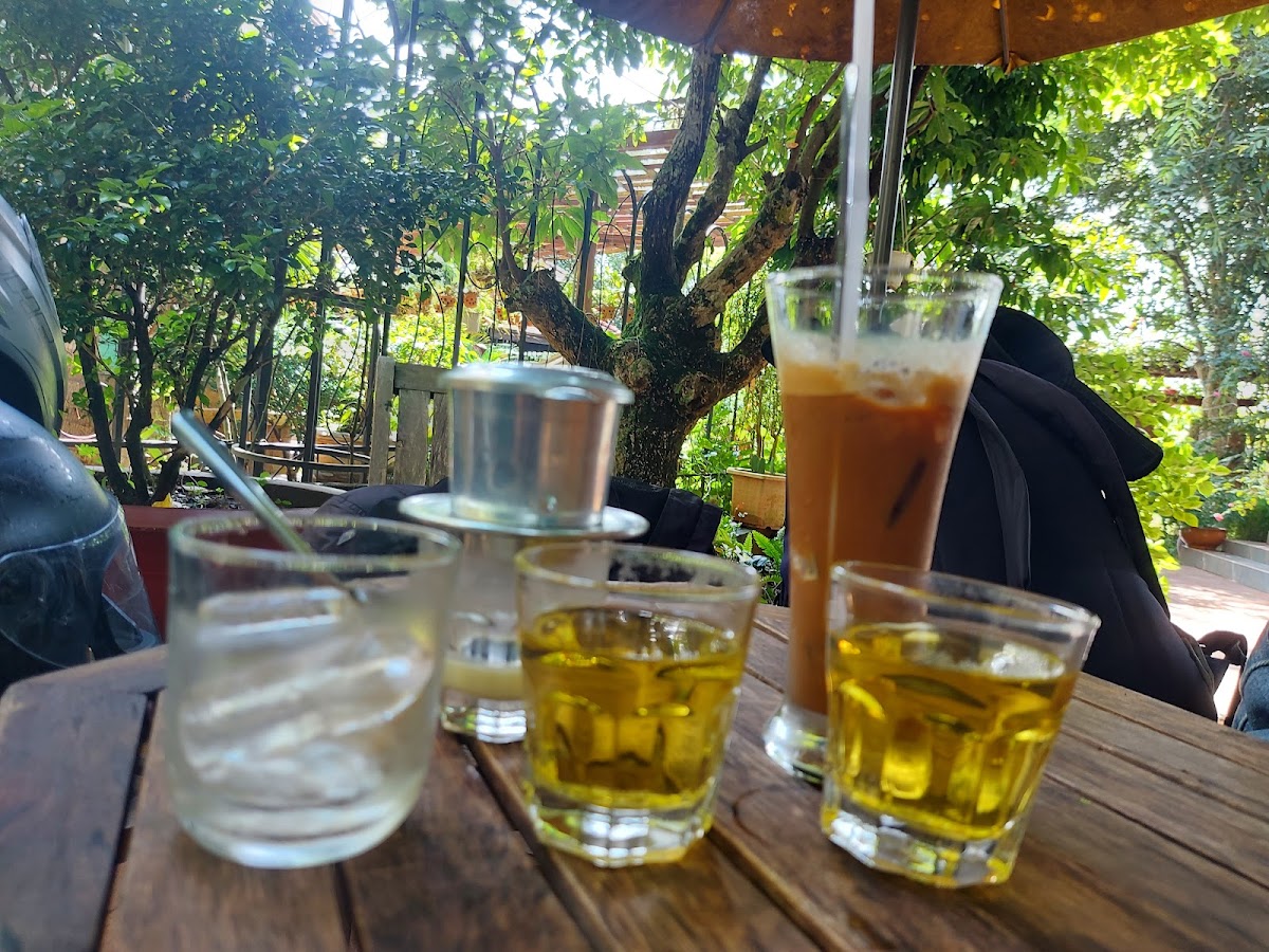 Rose Garden Coffee - 5