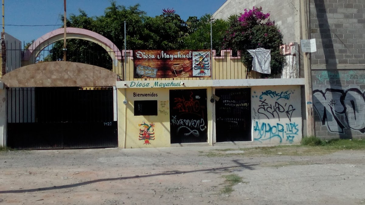 Diosa Mayahuel 'curados, aguamiel y pulque'