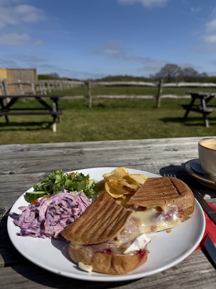 Rhubarb and Custard - 3