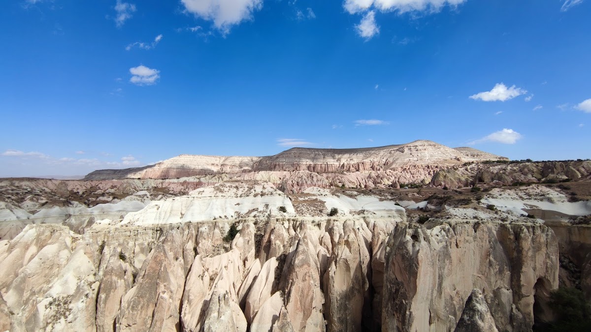 Red Valley Tea Garden - 7