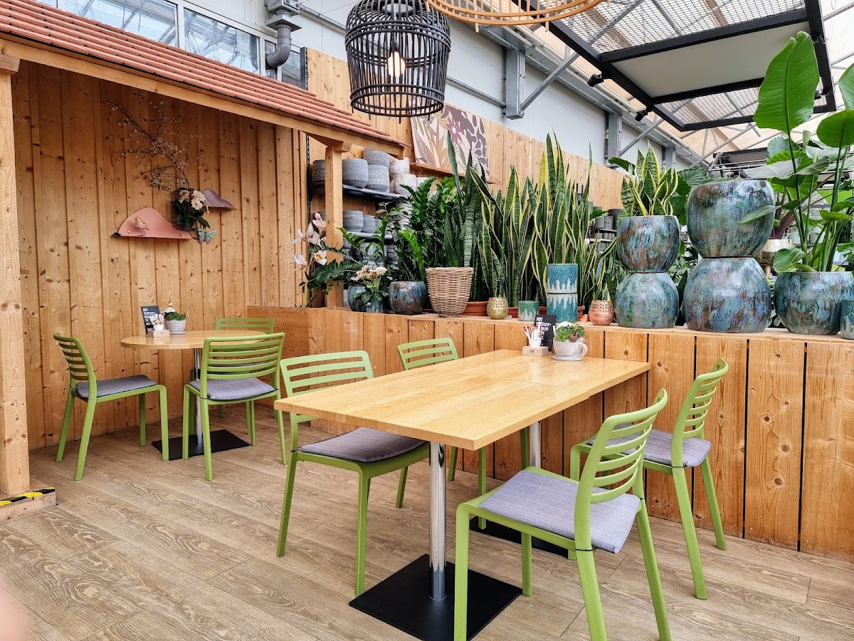 Cafe Florina - 100% Vegan - 3