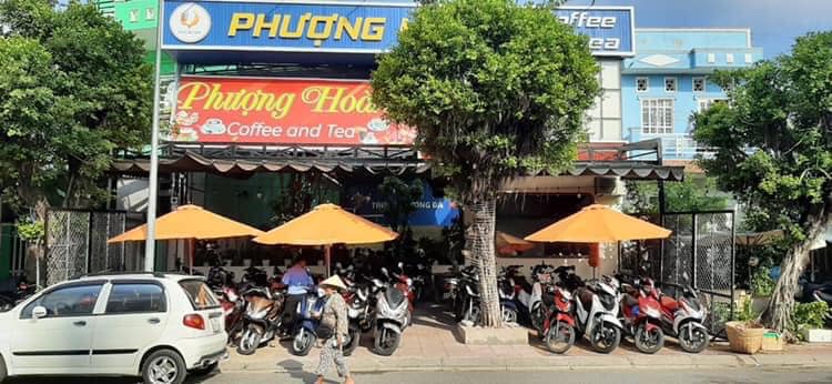 Coffee and Tea Phượng Hoàng