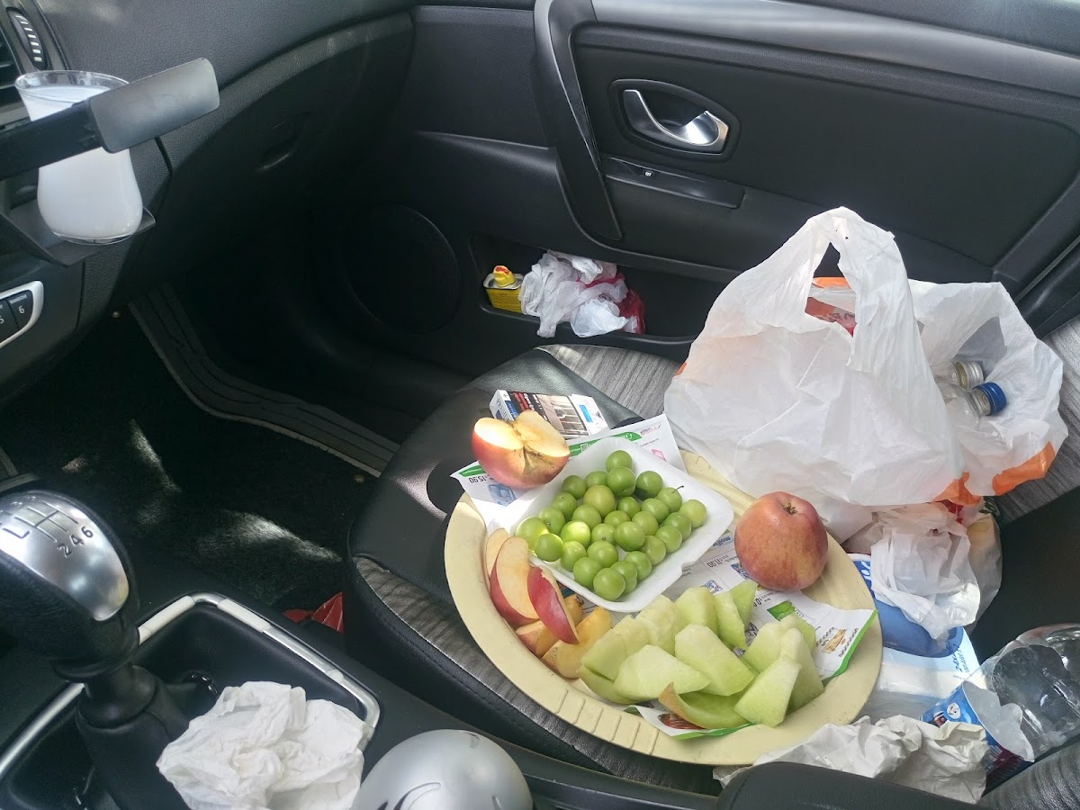 Çorum Baraj Girişi - 4