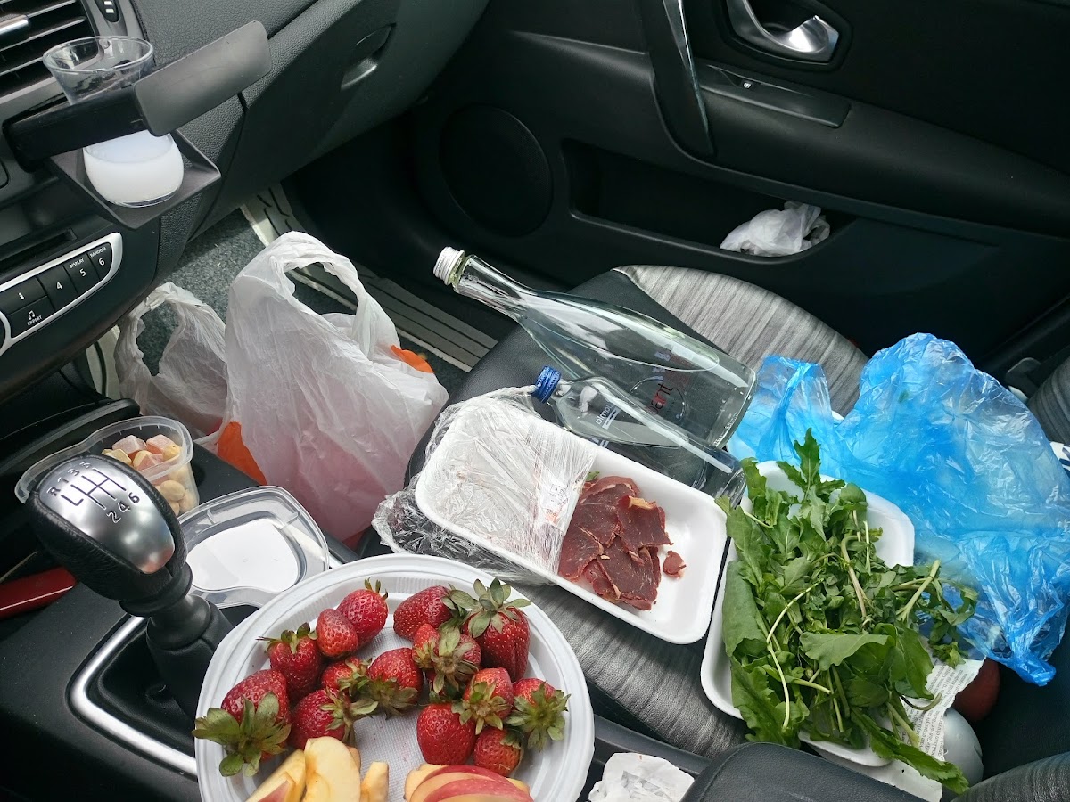 Çorum Baraj Girişi - 7