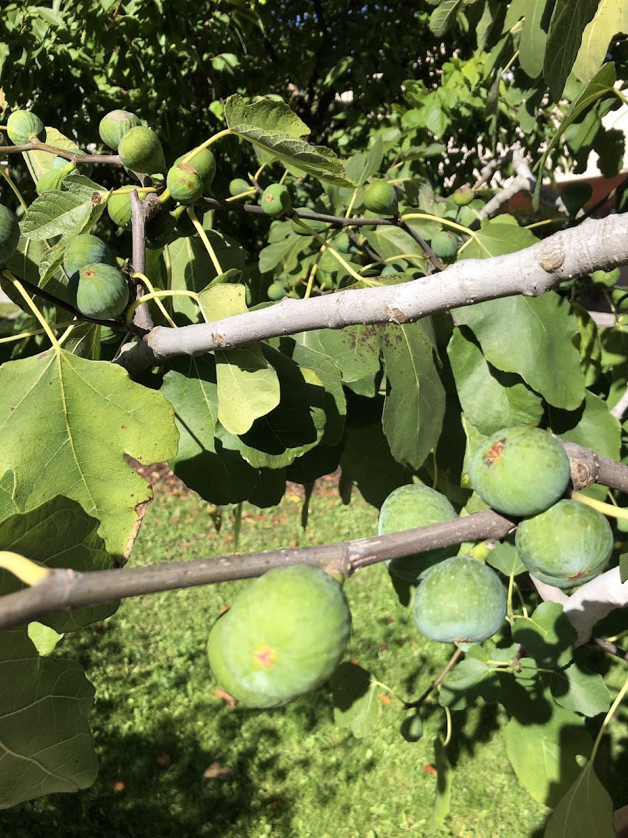 StuCafé Akademie Weihenstephan - 5