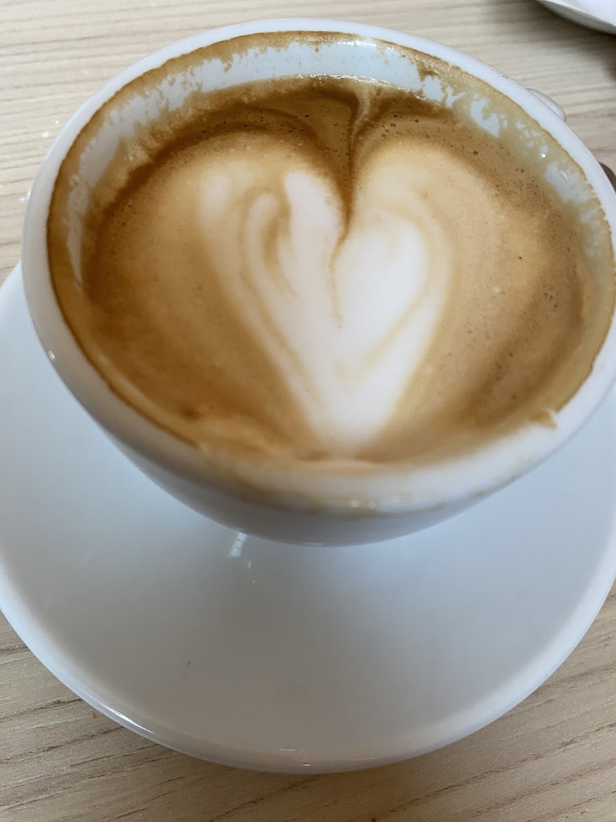 Rosa D'Inghilterra - 2