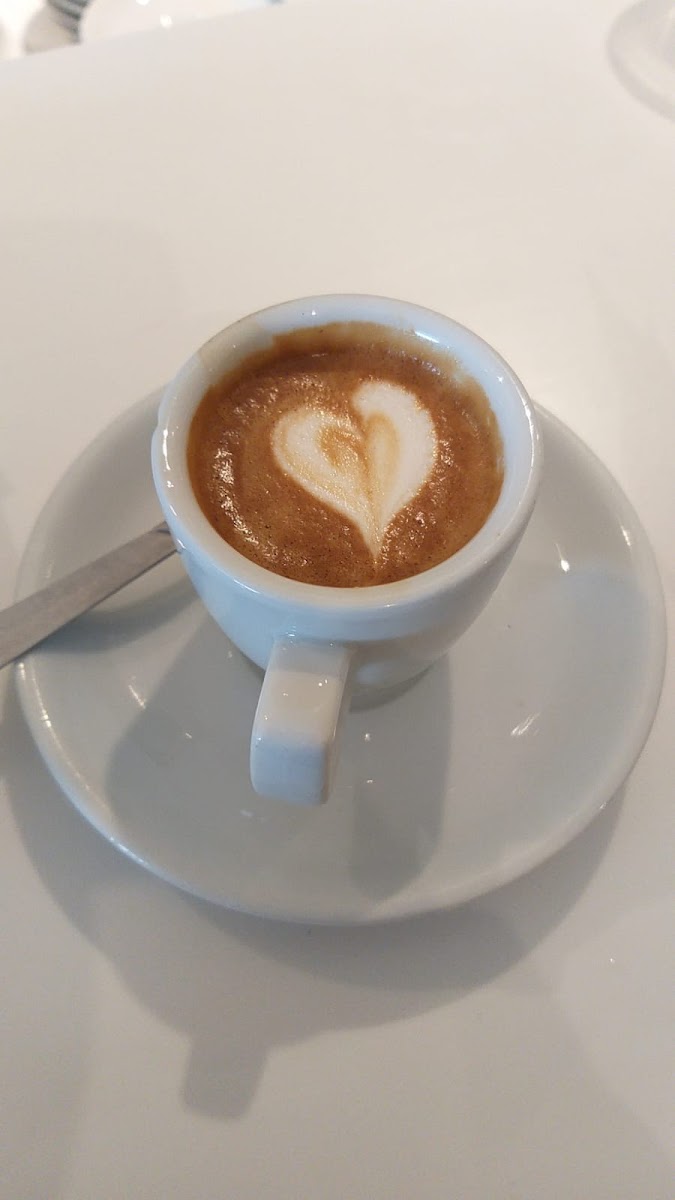 Rosa D'Inghilterra - 7