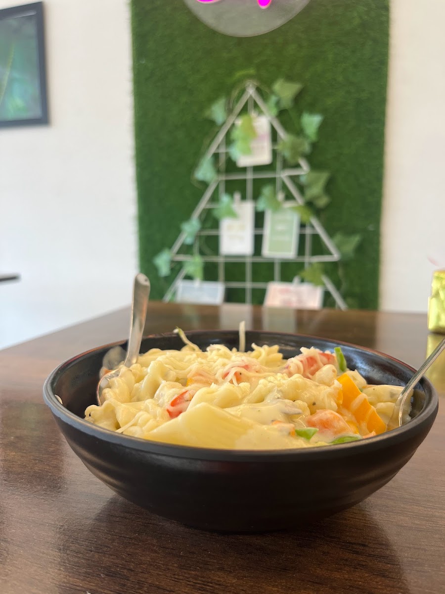 Pocket Friendly Cafe - Bhilai’s Best Pocket Friendly Cafe - 9