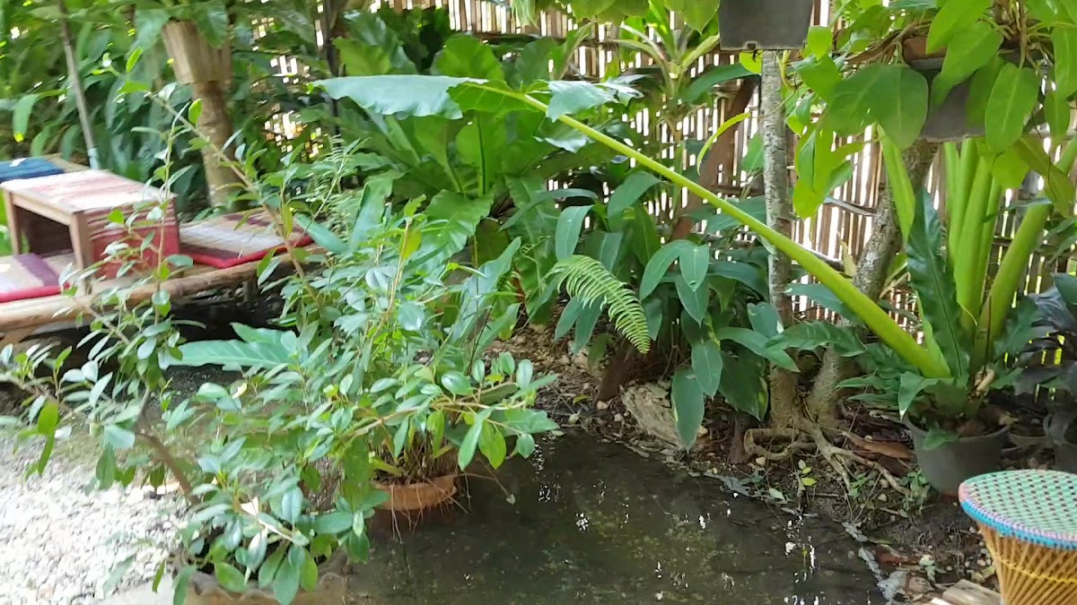 Dapbliw Espresso&Tea Bar - 2