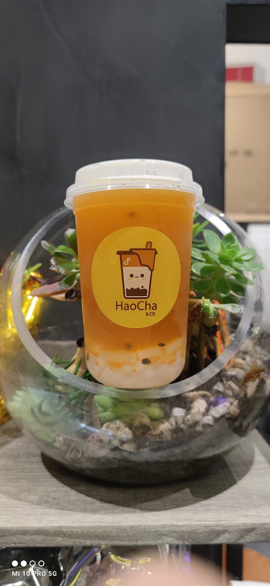 HaoCha & Co 好茶咖啡 - 9