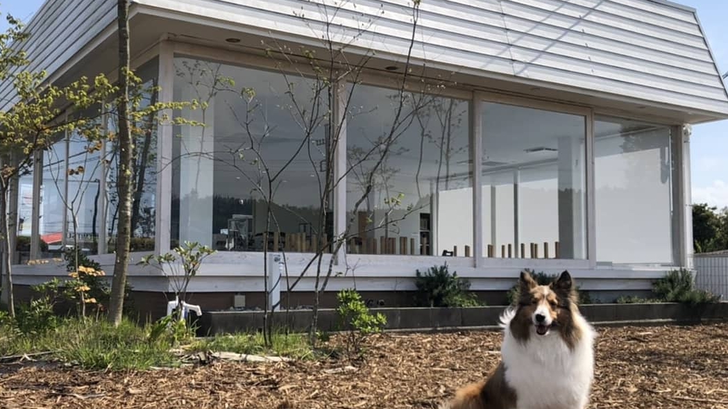 Dog Barrier free Cafe 茂原珈琲 - 3