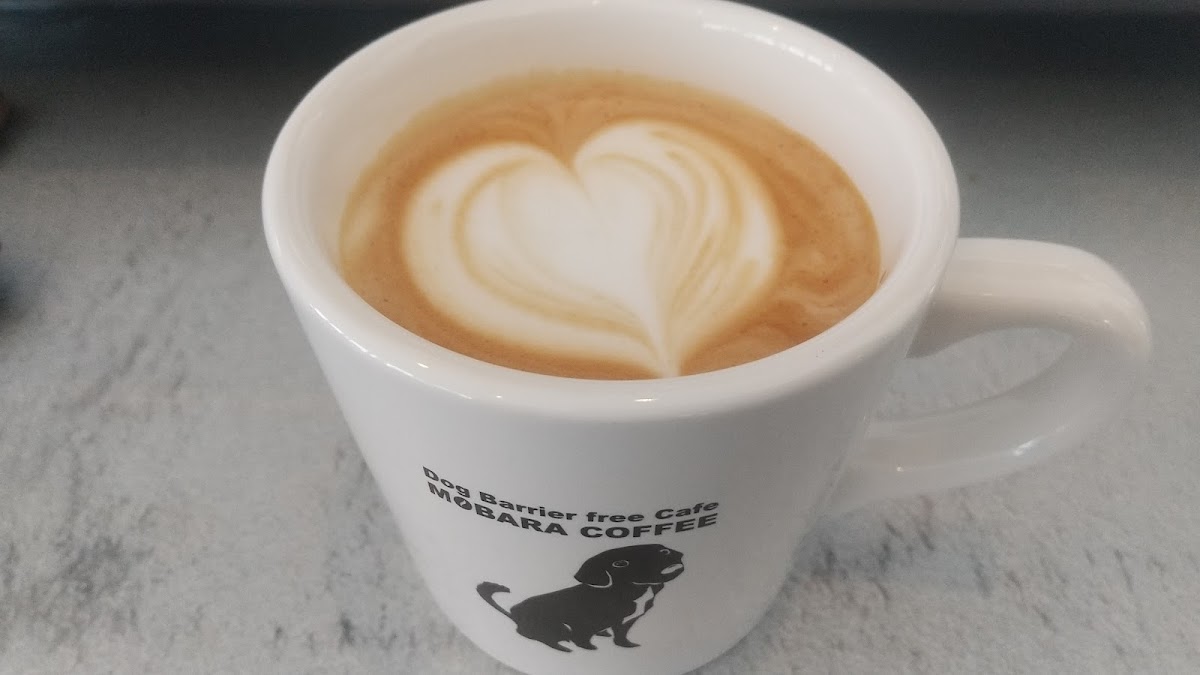 Dog Barrier free Cafe 茂原珈琲 - 6