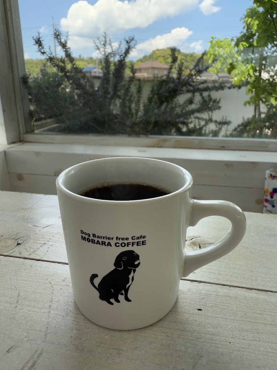 Dog Barrier free Cafe 茂原珈琲 - 8
