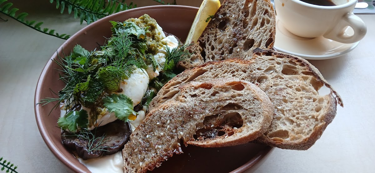 Papercup Motherwell - 10