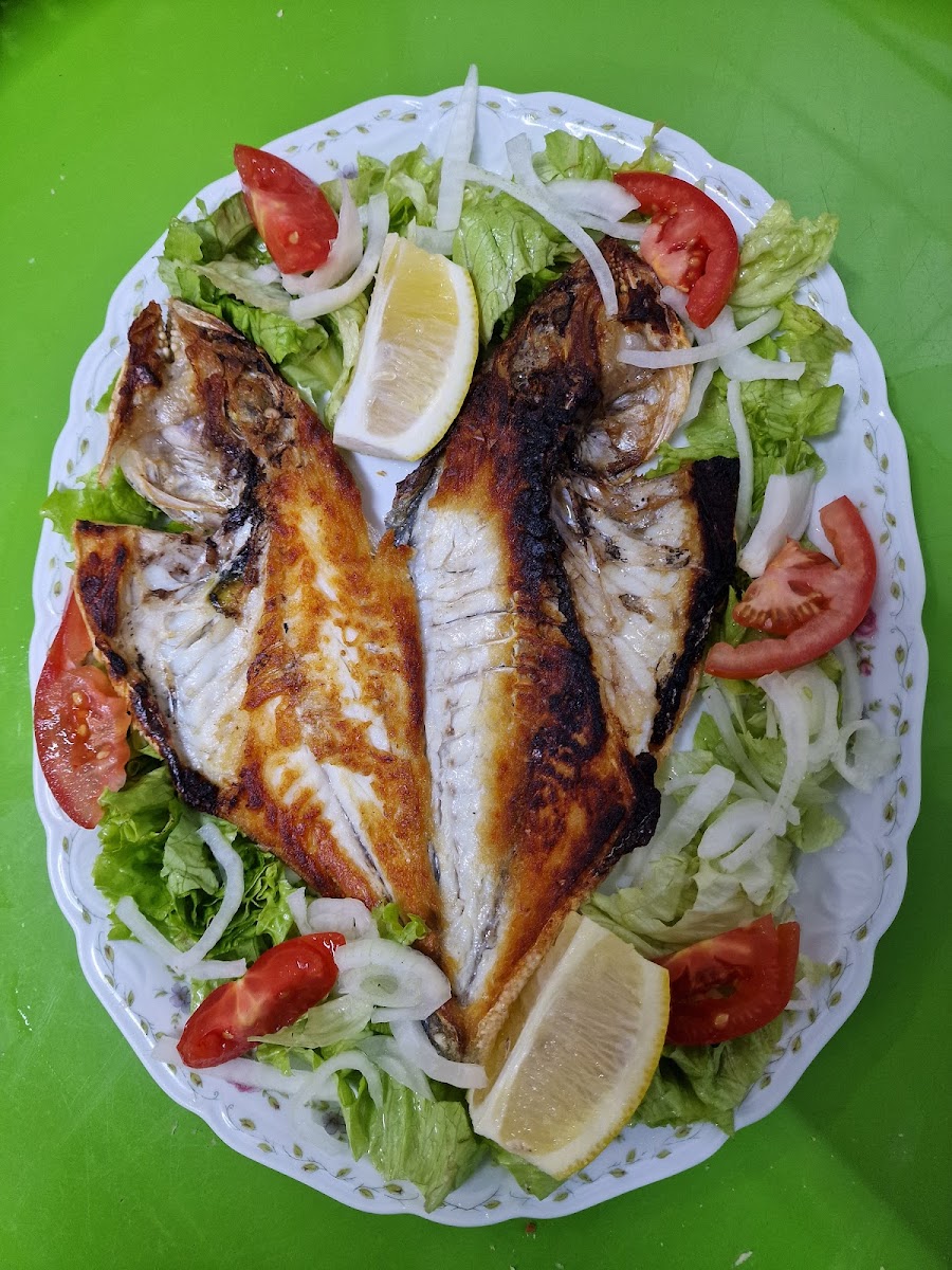 El Hogar bar del losJubilado - 10