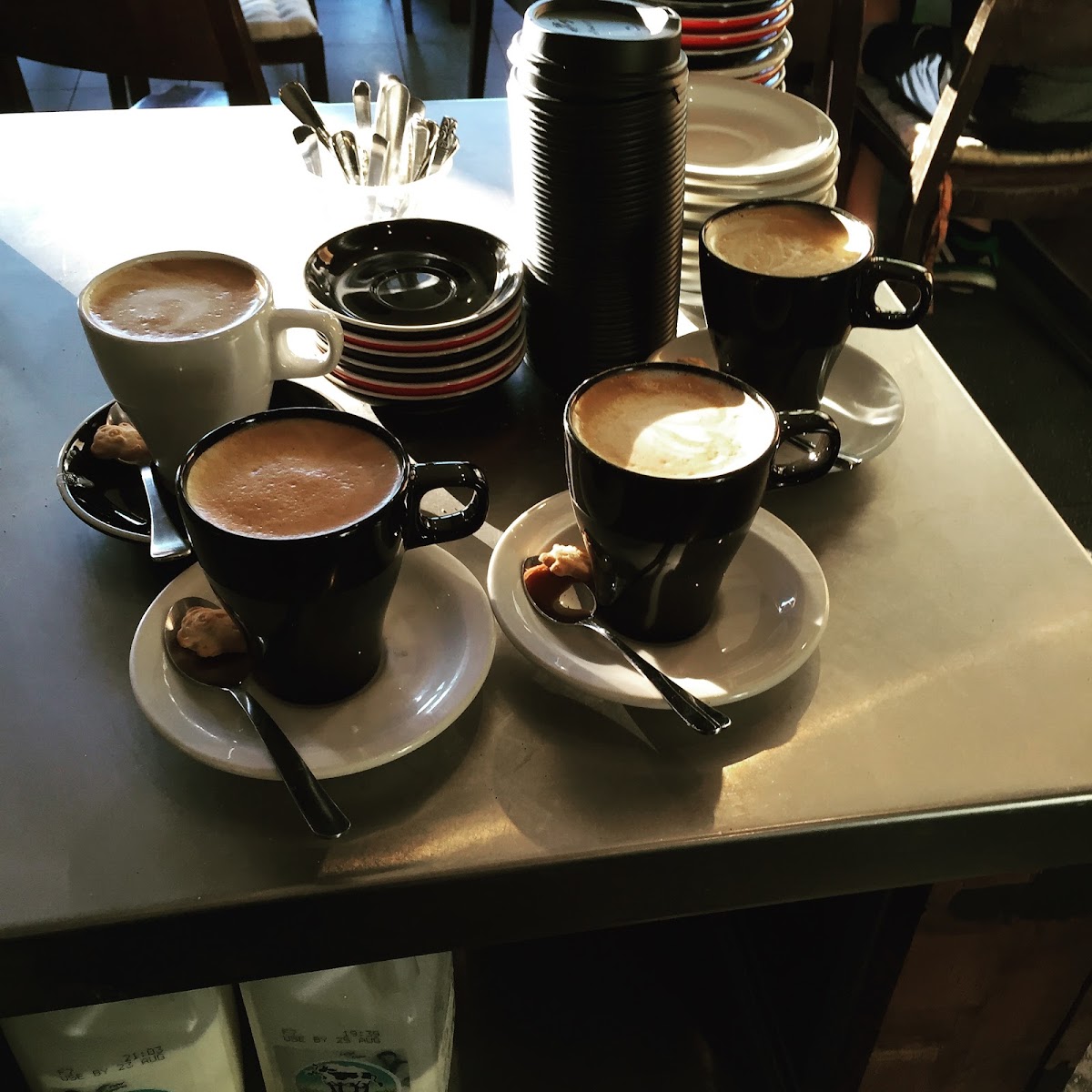 Don Adan’s Coffee Tree - 4