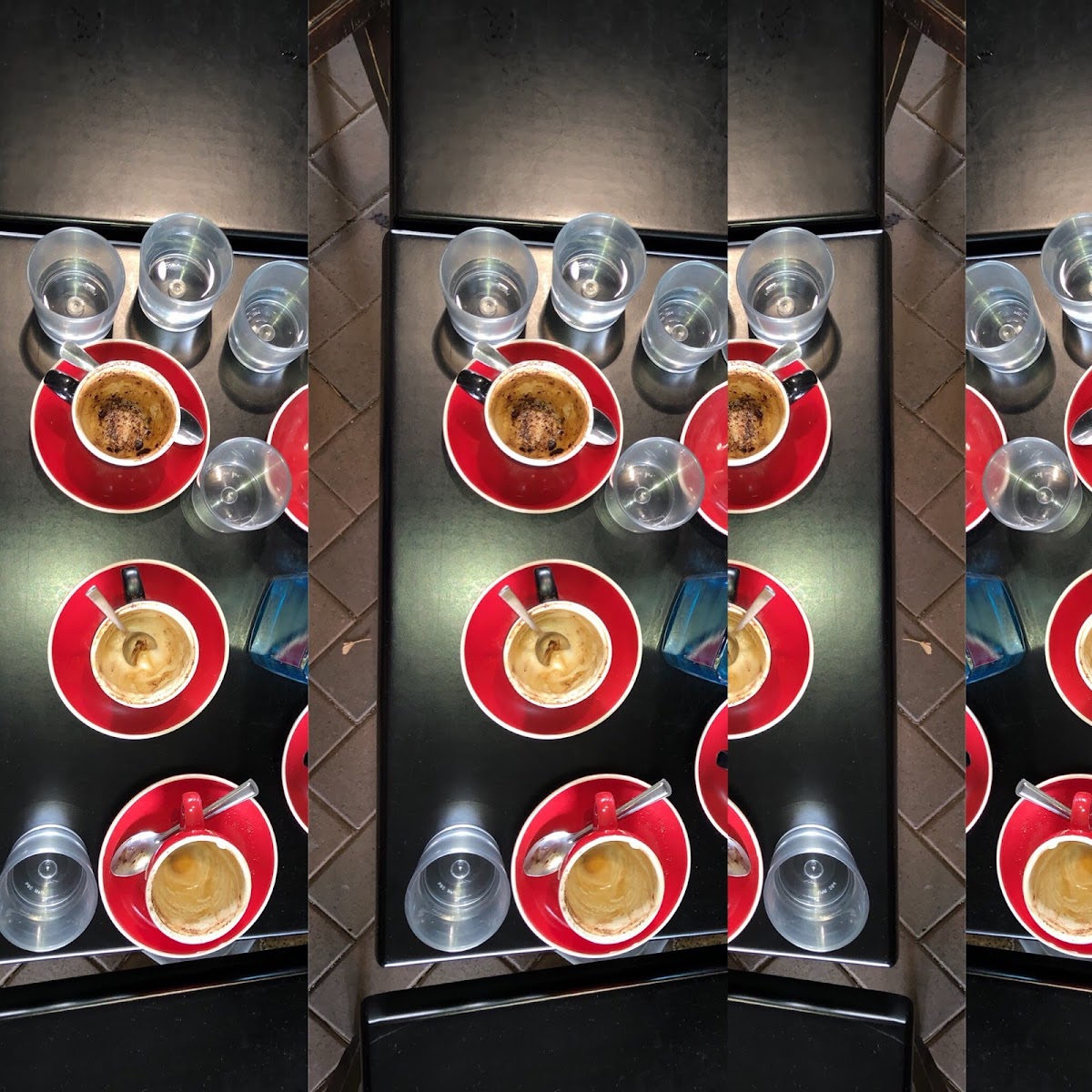 Don Adan’s Coffee Tree - 8