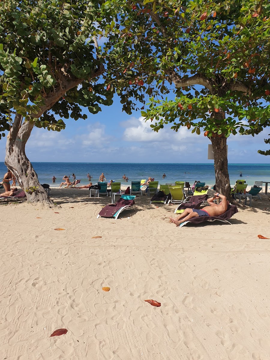 Beach Bunny Cafe Negril - 4