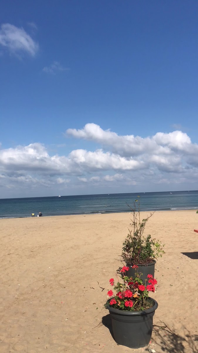 Batuhan Cafe - Kumcağız - 2