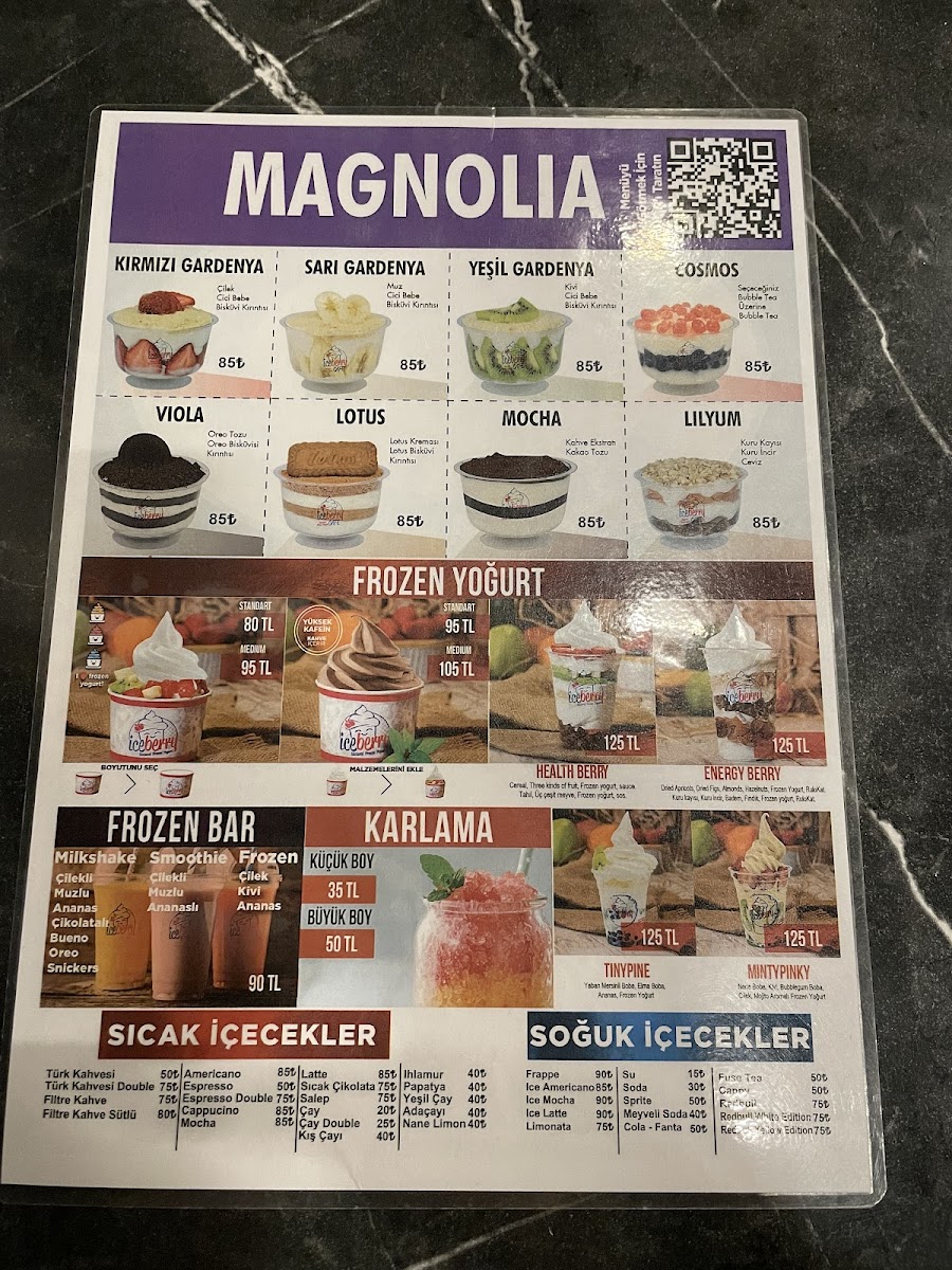 Iceberry Natural Frozen Yogurt - 1