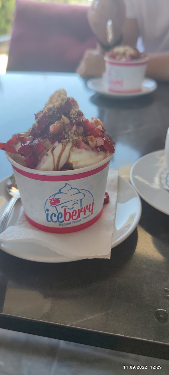 Iceberry Natural Frozen Yogurt - 10