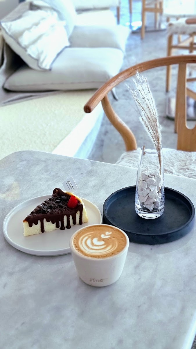 Steel Specialty Coffee - 5