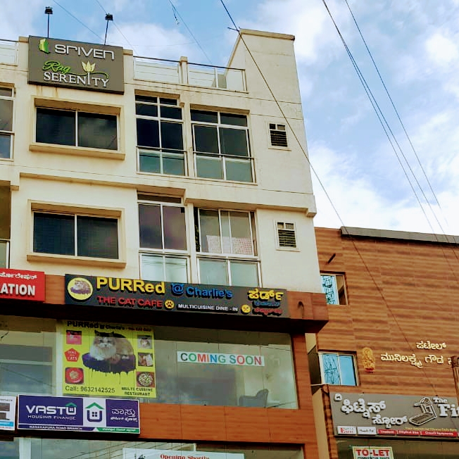 PURRed @Charlie's - The CAT Cafe