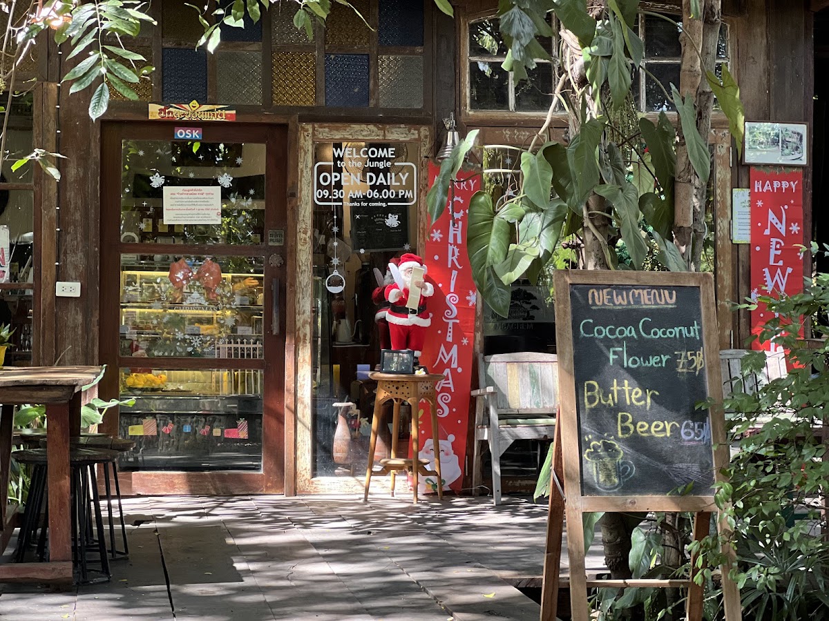 Pa Klang Mueang Café | ป่ากลางเมือง Café & Co-Working space